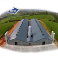 China Low Cost Complete Light Steel Frame Poultry Hosue Shed Construction With Equipment In India